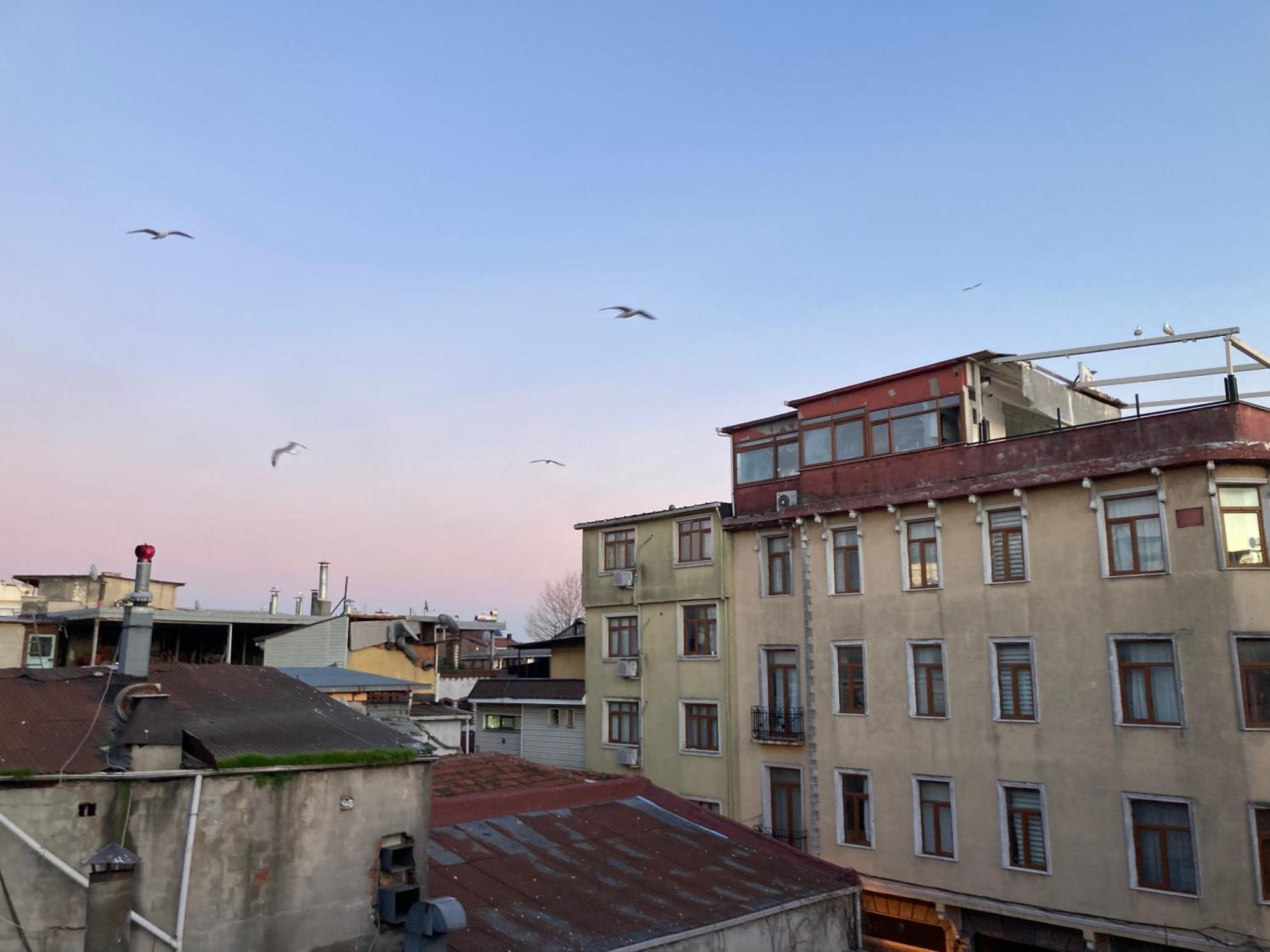 Ulusoy Old City Истанбул Екстериор снимка
